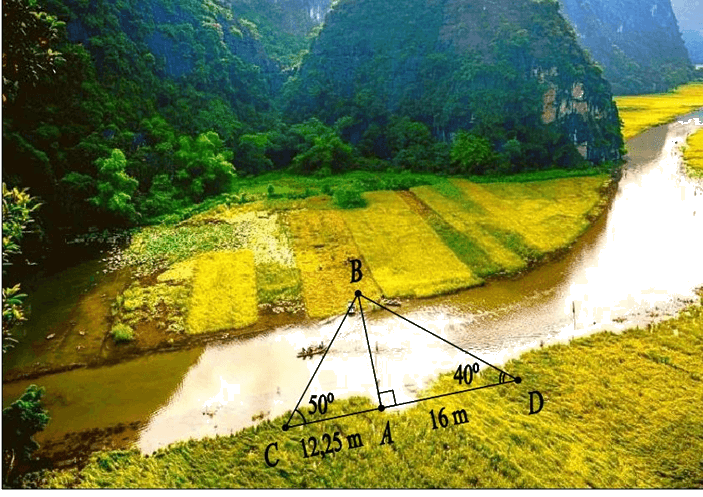 Hình minh họa câu hỏi