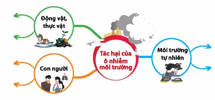 Hoạt động trải nghiệm lớp 3 Tuần 29 trang 76, 77 | Chân trời sáng tạo