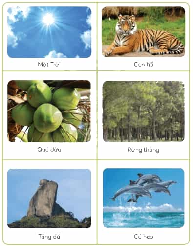 Công nghệ lớp 3 Bài 1: Tự nhiên và công nghệ trang 6, 7, 8, 9, 10, 11
