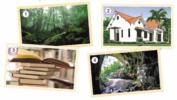 Công nghệ lớp 3 Bài 1: Tự nhiên và công nghệ trang 6, 7, 8, 9 (ảnh 2)