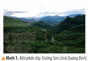 Lịch Sử và Địa Lí lớp 4 Kết nối tri thức Bài 15: Thiên nhiên vùng Duyên hải miền Trung