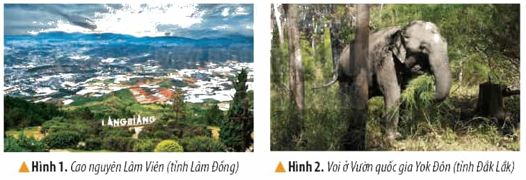 Lịch Sử và Địa Lí lớp 4 Kết nối tri thức Bài 20: Thiên nhiên vùng Tây Nguyên