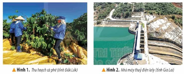Lịch Sử và Địa Lí lớp 4 Kết nối tri thức Bài 21: Dân cư và hoạt động sản xuất ở vùng Tây Nguyên
