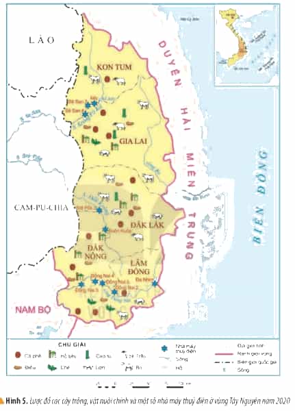 Lịch Sử và Địa Lí lớp 4 Kết nối tri thức Bài 21: Dân cư và hoạt động sản xuất ở vùng Tây Nguyên