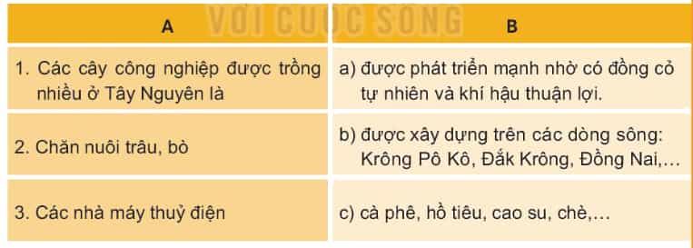 Lịch Sử và Địa Lí lớp 4 Kết nối tri thức Bài 21: Dân cư và hoạt động sản xuất ở vùng Tây Nguyên