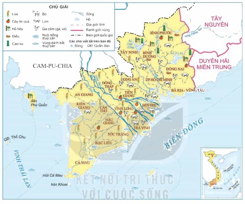 Lịch Sử và Địa Lí lớp 4 Kết nối tri thức Bài 25: Dân cư và hoạt động sản xuất ở vùng Nam Bộ