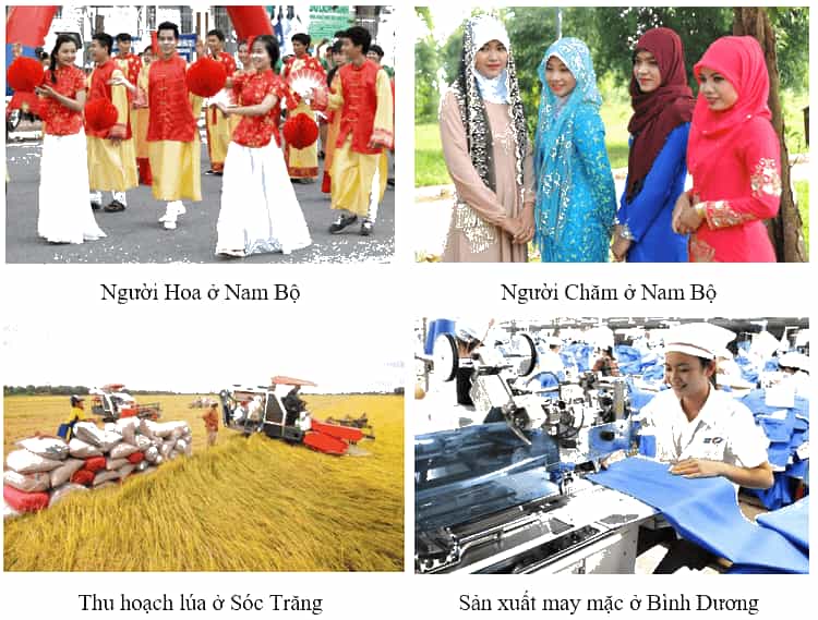 Lịch Sử và Địa Lí lớp 4 Kết nối tri thức Bài 25: Dân cư và hoạt động sản xuất ở vùng Nam Bộ