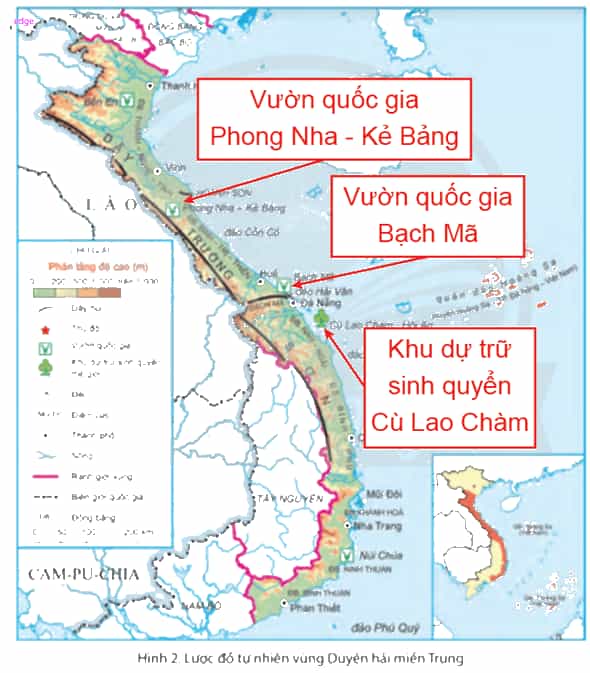 Lịch Sử và Địa Lí lớp 4 Chân trời sáng tạo Bài 14: Thiên nhiên vùng duyên hải miền Trung