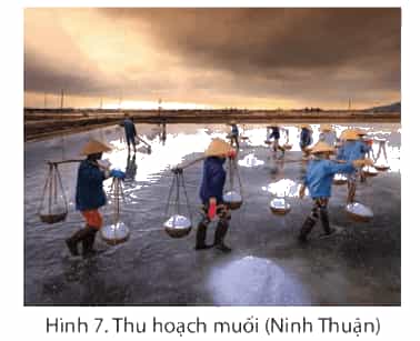 Lịch Sử và Địa Lí lớp 4 Chân trời sáng tạo Bài 15: Dân cư và hoạt động sản xuất ở vùng duyên hải miền Trung