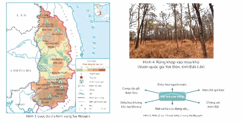 Lịch Sử và Địa Lí lớp 4 Chân trời sáng tạo Bài 19: Thiên nhiên vùng Tây Nguyên