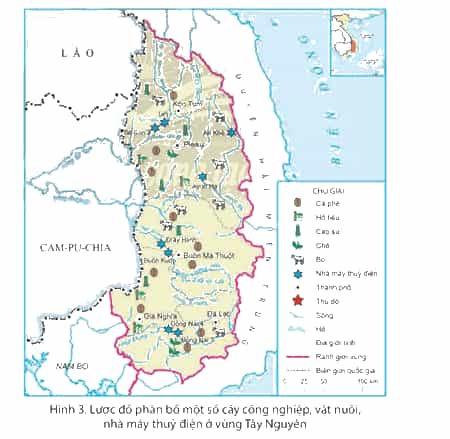 Lịch Sử và Địa Lí lớp 4 Chân trời sáng tạo Bài 20: Dân cư và hoạt động sản xuất ở vùng Tây Nguyên