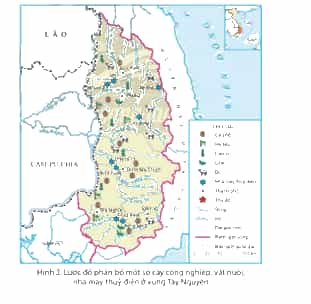 Lịch Sử và Địa Lí lớp 4 Chân trời sáng tạo Bài 20: Dân cư và hoạt động sản xuất ở vùng Tây Nguyên