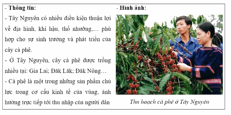 Lịch Sử và Địa Lí lớp 4 Chân trời sáng tạo Bài 20: Dân cư và hoạt động sản xuất ở vùng Tây Nguyên