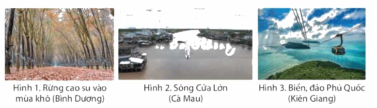 Lịch Sử và Địa Lí lớp 4 Chân trời sáng tạo Bài 23: Thiên nhiên vùng Nam Bộ