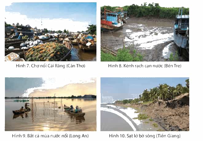 Lịch Sử và Địa Lí lớp 4 Chân trời sáng tạo Bài 23: Thiên nhiên vùng Nam Bộ