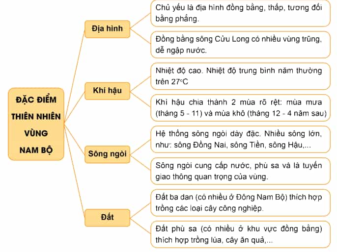 Lịch Sử và Địa Lí lớp 4 Chân trời sáng tạo Bài 23: Thiên nhiên vùng Nam Bộ
