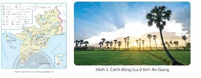 Lịch Sử và Địa Lí lớp 4 Chân trời sáng tạo Bài 24: Dân cư và hoạt động sản xuất ở vùng Nam Bộ