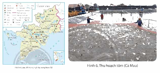 Lịch Sử và Địa Lí lớp 4 Chân trời sáng tạo Bài 24: Dân cư và hoạt động sản xuất ở vùng Nam Bộ