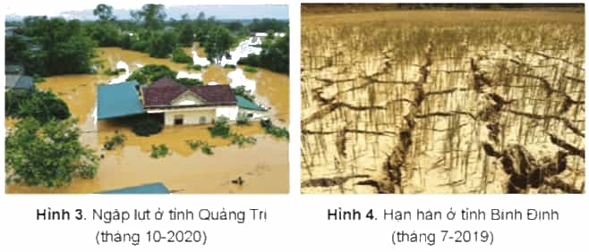 Lịch Sử và Địa Lí lớp 4 Cánh diều Bài 11: Thiên nhiên vùng Duyên hải miền Trung (ảnh 5)