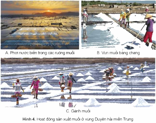 Lịch Sử và Địa Lí lớp 4 Cánh diều Bài 12: Dân cư, hoạt động sản xuất và một số nét văn hóa ở vùng Duyên hải miền Trung (ảnh 3)
