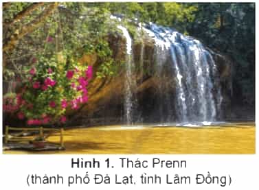 Lịch Sử và Địa Lí lớp 4 Cánh diều Bài 15: Thiên nhiên vùng Tây Nguyên (ảnh 1)
