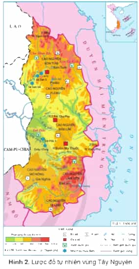Lịch Sử và Địa Lí lớp 4 Cánh diều Bài 15: Thiên nhiên vùng Tây Nguyên (ảnh 6)