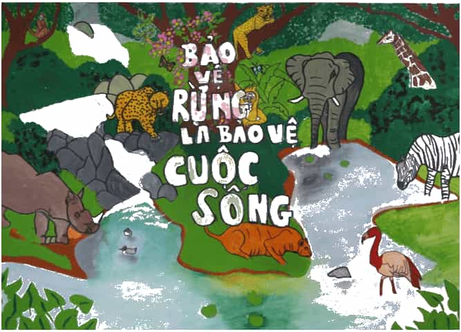 Lịch Sử và Địa Lí lớp 4 Cánh diều Bài 15: Thiên nhiên vùng Tây Nguyên (ảnh 9)
