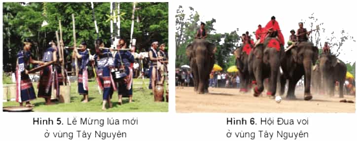 Lịch Sử và Địa Lí lớp 4 Cánh diều Bài 16: Dân cư, hoạt động sản xuất và một số nét văn hóa ở vùng Tây Nguyên (ảnh 6)