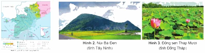 Lịch Sử và Địa Lí lớp 4 Cánh diều Bài 18: Thiên nhiên vùng Nam Bộ (ảnh 3)