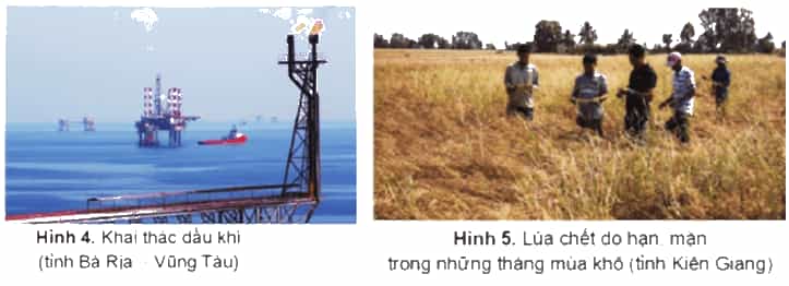 Lịch Sử và Địa Lí lớp 4 Cánh diều Bài 18: Thiên nhiên vùng Nam Bộ (ảnh 5)