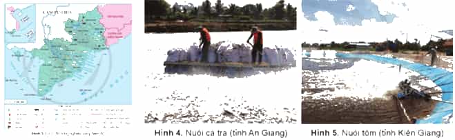Lịch Sử và Địa Lí lớp 4 Cánh diều Bài 19: Dân cư, hoạt động sản xuất và một số nét văn hóa ở vùng Nam Bộ (ảnh 4)