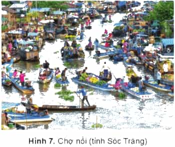 Lịch Sử và Địa Lí lớp 4 Cánh diều Bài 19: Dân cư, hoạt động sản xuất và một số nét văn hóa ở vùng Nam Bộ (ảnh 6)