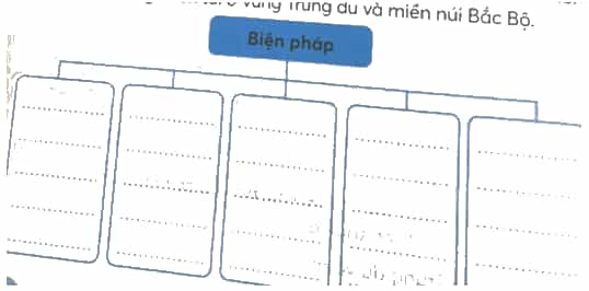 Vở bài tập Lịch Sử và Địa Lí lớp 4 Kết nối tri thức Bài 4: Thiên nhiên vùng Trung du và miền núi Bắc Bộ