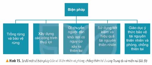 Vở bài tập Lịch Sử và Địa Lí lớp 4 Kết nối tri thức Bài 4: Thiên nhiên vùng Trung du và miền núi Bắc Bộ
