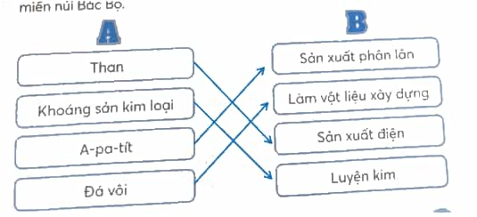 Vở bài tập Lịch Sử và Địa Lí lớp 4 Kết nối tri thức Bài 5: Dân cư và hoạt động sản xuất ở vùng Trung du và miền núi Bắc Bộ