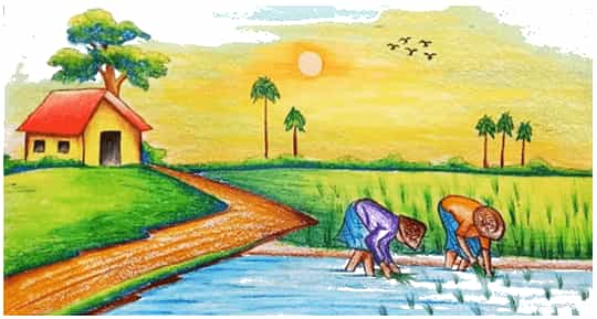 Vở bài tập Lịch Sử và Địa Lí lớp 4 Kết nối tri thức Bài 8: Thiên nhiên vùng Đồng bằng Bắc Bộ