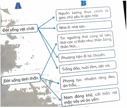 Vở bài tập Lịch Sử và Địa Lí lớp 4 Kết nối tri thức Bài 11: Sông Hồng và văn minh sông Hồng