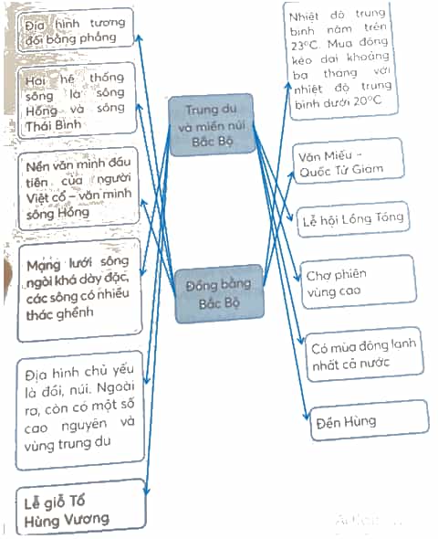 Vở bài tập Lịch Sử và Địa Lí lớp 4 Kết nối tri thức Bài 14: Ôn tập