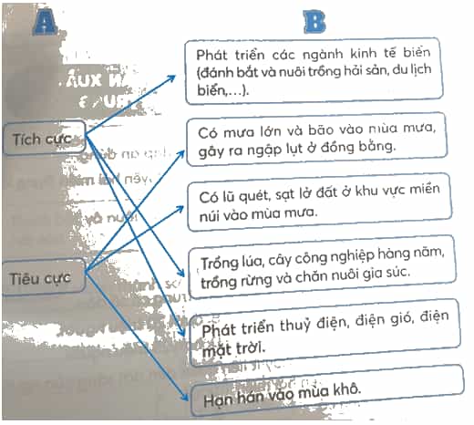 Vở bài tập Lịch Sử và Địa Lí lớp 4 Kết nối tri thức Bài 15: Thiên nhiên vùng Duyên hải miền Trung
