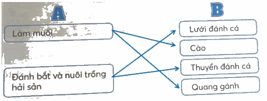 Vở bài tập Lịch Sử và Địa Lí lớp 4 Kết nối tri thức Bài 16: Dân cư và hoạt động sản xuất ở vùng Duyên hải miền Trung