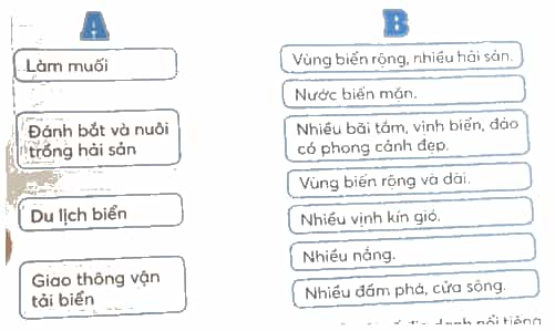 Vở bài tập Lịch Sử và Địa Lí lớp 4 Kết nối tri thức Bài 16: Dân cư và hoạt động sản xuất ở vùng Duyên hải miền Trung