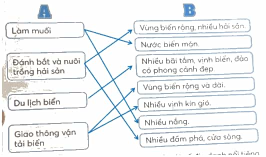 Vở bài tập Lịch Sử và Địa Lí lớp 4 Kết nối tri thức Bài 16: Dân cư và hoạt động sản xuất ở vùng Duyên hải miền Trung