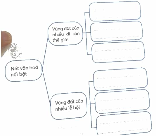 Vở bài tập Lịch Sử và Địa Lí lớp 4 Kết nối tri thức Bài 17: Một số nét văn hoá ở vùng Duyên hải miền Trung