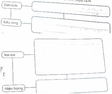 Vở bài tập Lịch Sử và Địa Lí lớp 4 Kết nối tri thức Bài 20: Thiên nhiên vùng Tây Nguyên