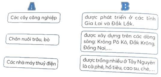 Vở bài tập Lịch Sử và Địa Lí lớp 4 Kết nối tri thức Bài 21: Dân cư và hoạt động sản xuất ở vùng Tây Nguyên
