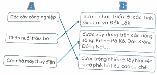 Vở bài tập Lịch Sử và Địa Lí lớp 4 Kết nối tri thức Bài 21: Dân cư và hoạt động sản xuất ở vùng Tây Nguyên