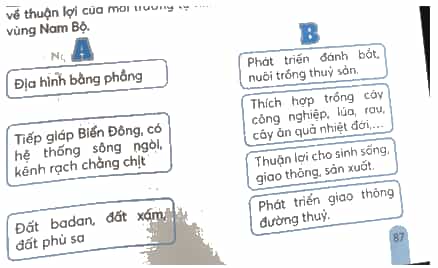Vở bài tập Lịch Sử và Địa Lí lớp 4 Kết nối tri thức Bài 24: Thiên nhiên vùng Nam Bộ
