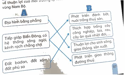 Vở bài tập Lịch Sử và Địa Lí lớp 4 Kết nối tri thức Bài 24: Thiên nhiên vùng Nam Bộ