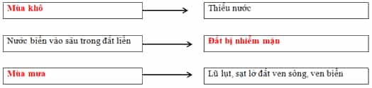 Vở bài tập Lịch Sử và Địa Lí lớp 4 Kết nối tri thức Bài 24: Thiên nhiên vùng Nam Bộ
