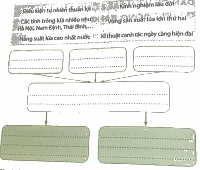Vở bài tập Lịch Sử và Địa Lí lớp 4 Chân trời sáng tạo Bài 9: Dân cư và hoạt động sản xuất ở vùng đồng bằng Bắc Bộ